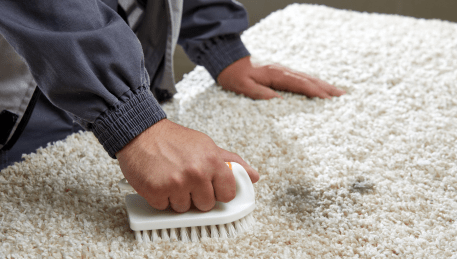 Professional Rug Cleaning Boneo